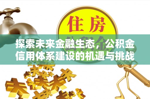 龙圩探索未来金融生态，公积金信用体系建设的机遇与挑战