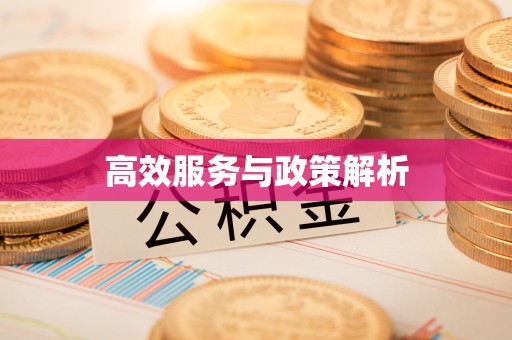 龙圩高效服务与政策解析