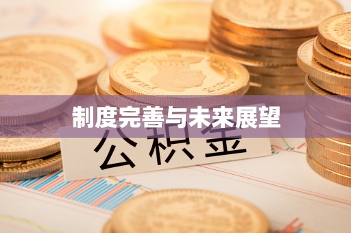 龙圩制度完善与未来展望