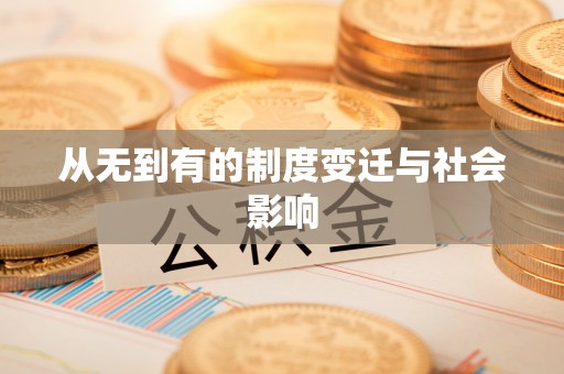 龙圩从无到有的制度变迁与社会影响