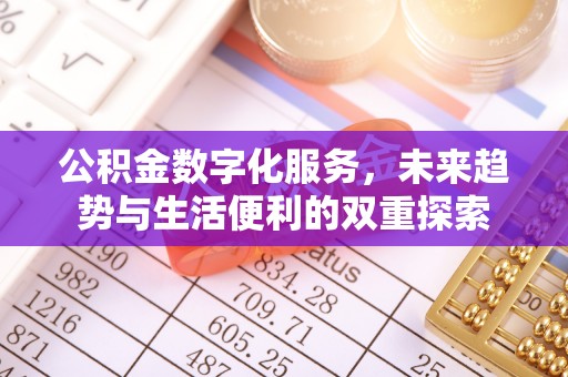 龙圩公积金数字化服务，未来趋势与生活便利的双重探索