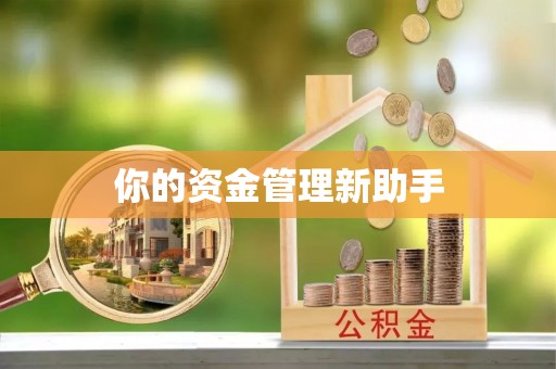 龙圩你的资金管理新助手