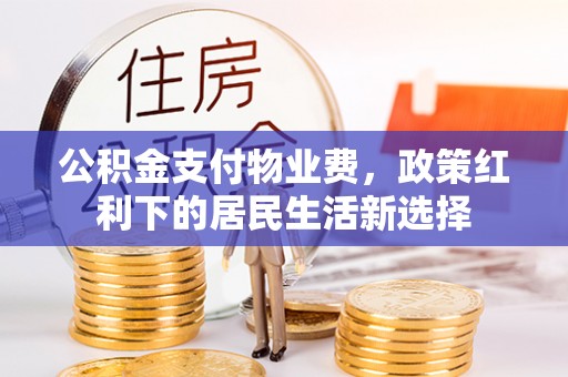 龙圩公积金支付物业费，政策红利下的居民生活新选择