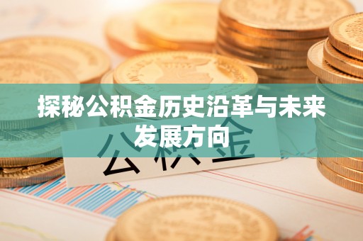 龙圩探秘公积金历史沿革与未来发展方向