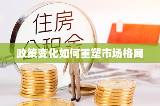 龙圩政策变化如何重塑市场格局