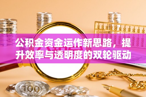 龙圩公积金资金运作新思路，提升效率与透明度的双轮驱动