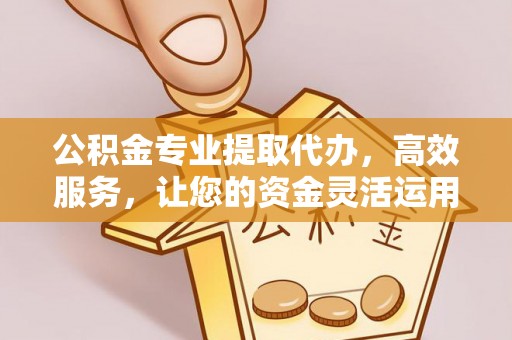 龙圩公积金专业提取代办，高效服务，让您的资金灵活运用