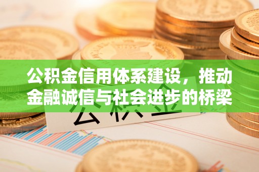 龙圩公积金信用体系建设，推动金融诚信与社会进步的桥梁