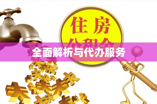 龙圩全面解析与代办服务