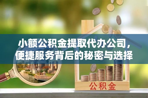 龙圩小额公积金提取代办公司，便捷服务背后的秘密与选择指南