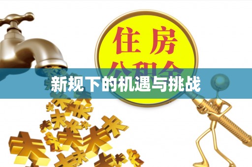 龙圩新规下的机遇与挑战
