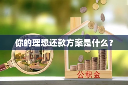 龙圩你的理想还款方案是什么？
