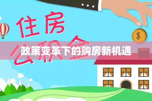 龙圩政策变革下的购房新机遇