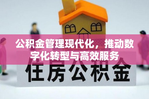 龙圩公积金管理现代化，推动数字化转型与高效服务