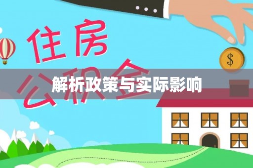 龙圩解析政策与实际影响