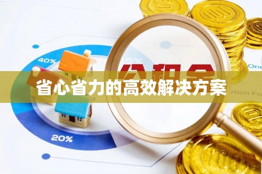 龙圩省心省力的高效解决方案