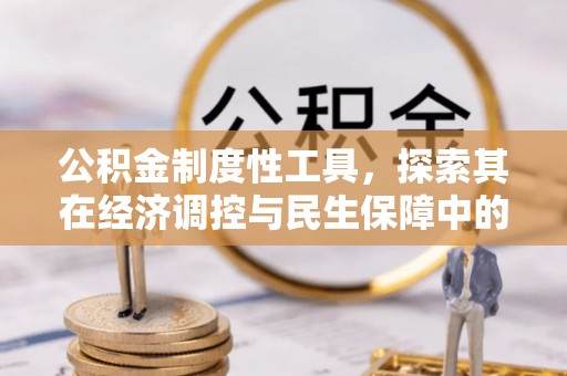 龙圩公积金制度性工具，探索其在经济调控与民生保障中的重要作用