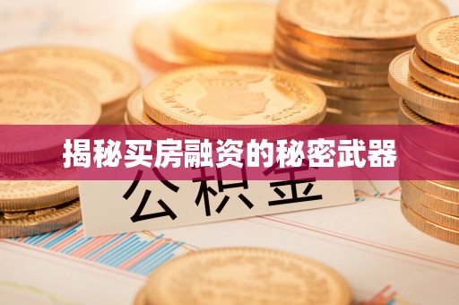 龙圩揭秘买房融资的秘密武器