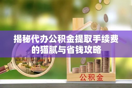 龙圩揭秘代办公积金提取手续费的猫腻与省钱攻略