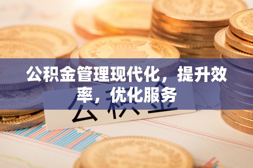龙圩公积金管理现代化，提升效率，优化服务