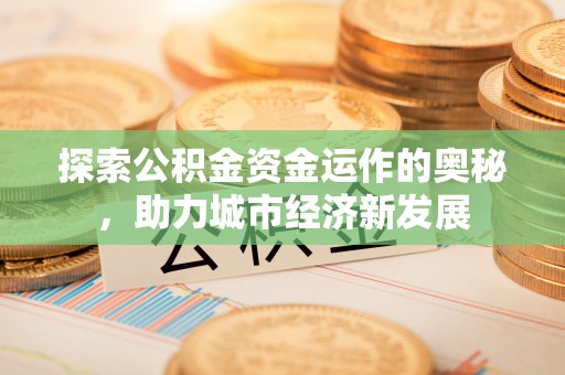 龙圩探索公积金资金运作的奥秘，助力城市经济新发展