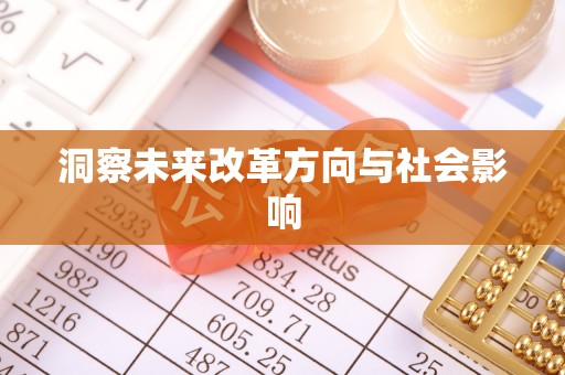 龙圩洞察未来改革方向与社会影响