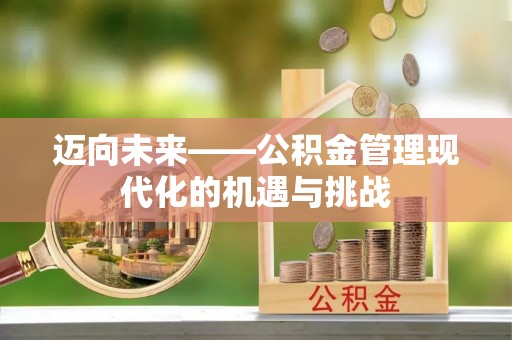 龙圩迈向未来——公积金管理现代化的机遇与挑战