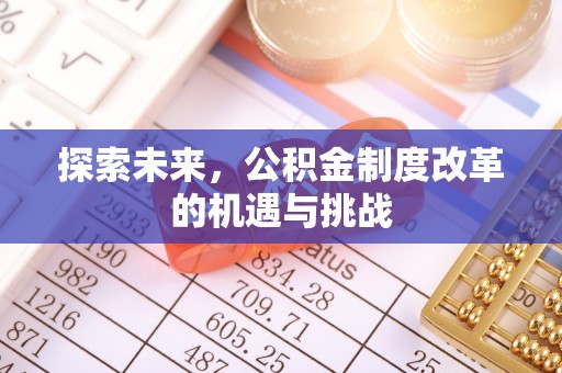 龙圩探索未来，公积金制度改革的机遇与挑战