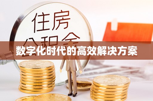 龙圩数字化时代的高效解决方案