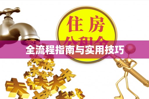 龙圩全流程指南与实用技巧