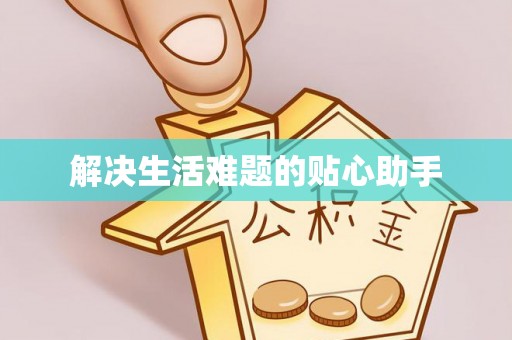 龙圩解决生活难题的贴心助手