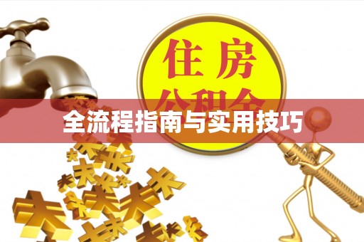 龙圩全流程指南与实用技巧