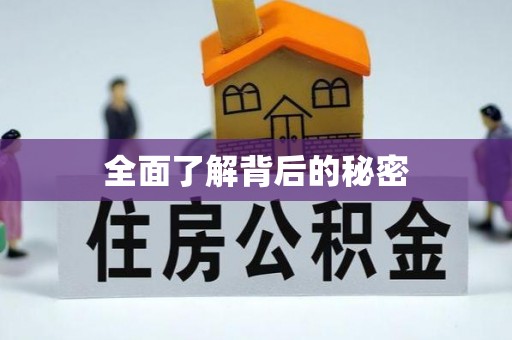 龙圩全面了解背后的秘密