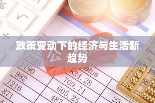 龙圩政策变动下的经济与生活新趋势