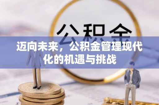 龙圩迈向未来，公积金管理现代化的机遇与挑战