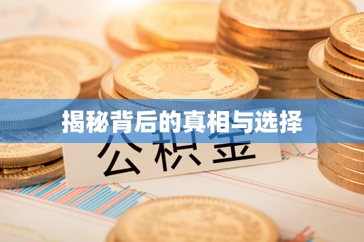 龙圩揭秘背后的真相与选择