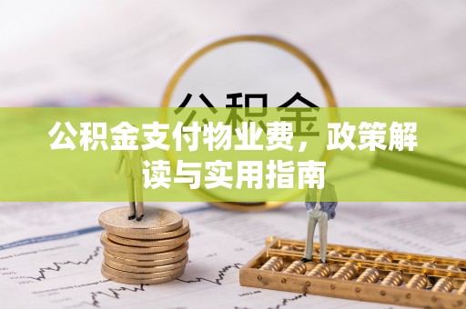 龙圩公积金支付物业费，政策解读与实用指南