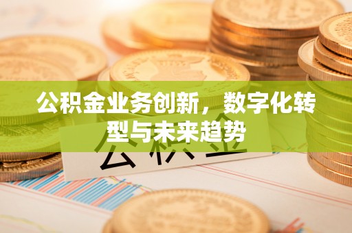 龙圩公积金业务创新，数字化转型与未来趋势