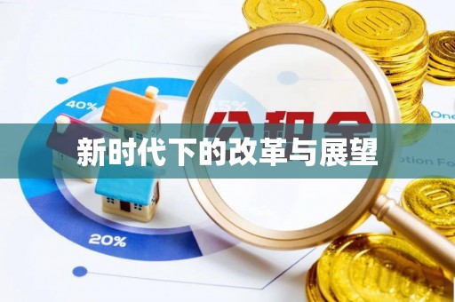 龙圩新时代下的改革与展望