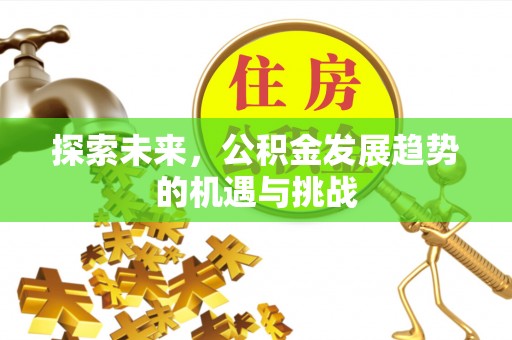 龙圩探索未来，公积金发展趋势的机遇与挑战