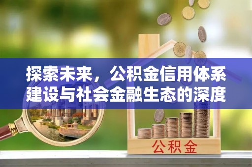 龙圩探索未来，公积金信用体系建设与社会金融生态的深度融合