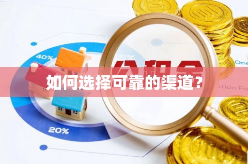 龙圩如何选择可靠的渠道？
