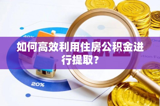 龙圩如何高效利用住房公积金进行提取？