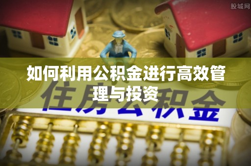 龙圩如何利用公积金进行高效管理与投资