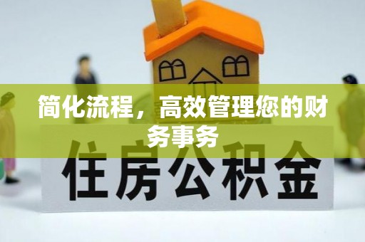 龙圩简化流程，高效管理您的财务事务