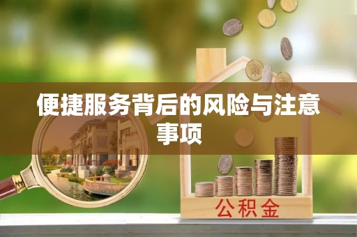 龙圩便捷服务背后的风险与注意事项