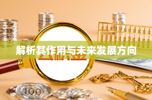 龙圩解析其作用与未来发展方向