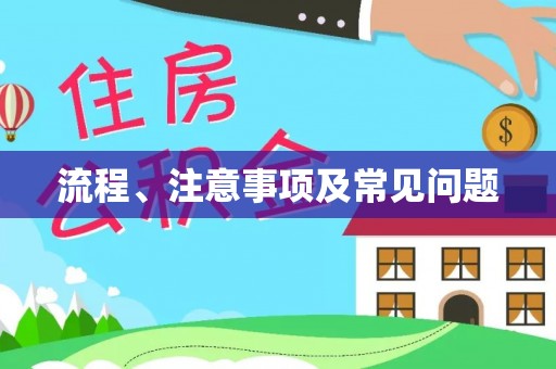 龙圩流程、注意事项及常见问题