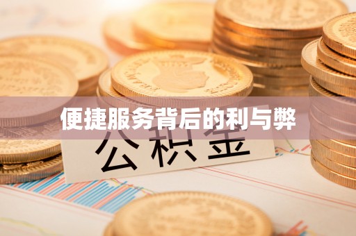 龙圩便捷服务背后的利与弊