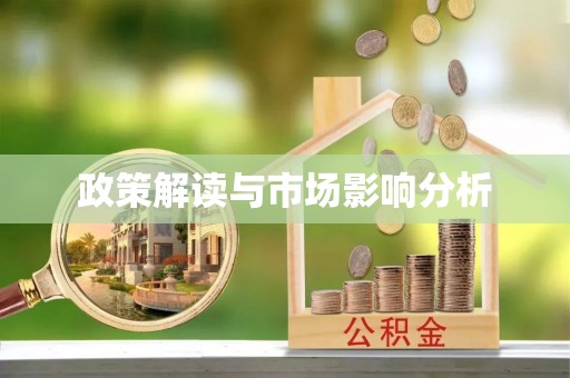 龙圩政策解读与市场影响分析